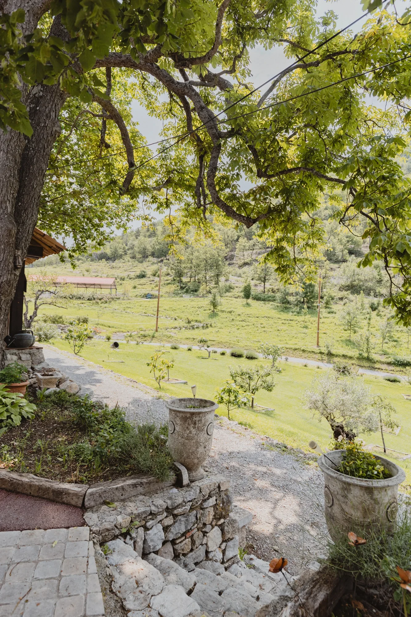 vue-vallee-verdoyante-terrasse-domaine.webp vue-vallee-verdoyante-terrasse-domaine.webp